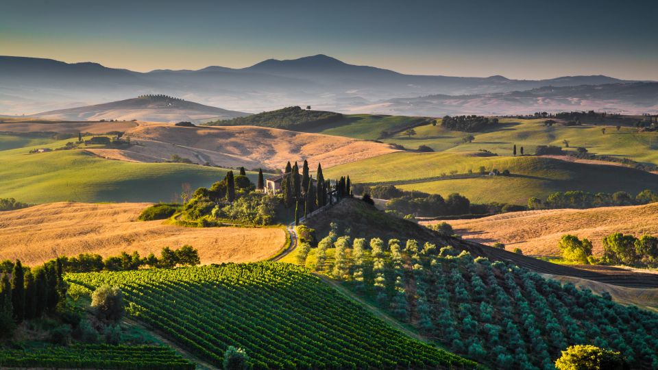 Vinhos da Toscana: Uvas locais, Vinhos e Curiosidades | Evino